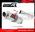 FZS FAZER 1000 EXHAUST Yamaha Muffler Auspuff Sportauspuff Silencer Echappement Silencieux Scarico Scarichi Escape Wydech Tłumik GP 1 2001 - 2005 DOMINATOR 1