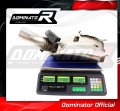 S1000RR Exhaust Cat Eliminator Catalyst Catalytic Converter Linkpipe Decat Downpipe 2012 - 2014 DOMINATOR 6