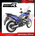 Pegaso 650 Exhaust Aprilia Muffler Auspuff Sportauspuff Silencer Echappement Silencieux Scarico Scarichi Escape Carbon Tip HP1 2001 - 2004 Dominator 2