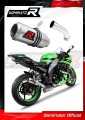 wydech tłumik DOMINATOR GP pasujący do motocykla Kawasaki ZX10R 2008 - 2010