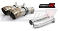 RSV 1000  gp2 1.jpg