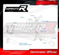 exhaust muffler DOMINATOR homologated road legal HP1 fits to Kawasaki Z 900 2020  2024 6