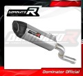 BMW F900R 2020 - 2022 EXHAUST Muffler Auspuff Sportauspuff Silencer Echappement Silencieux Scarico Scarichi Escape Wydech Tłumik HP5 DOMINATOR
