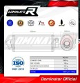 R1100R Exhaust BMW Muffler Auspuff Sportauspuff Silencer Echappement Silencieux Scarico Scarichi Escape OVAL Dominator 1