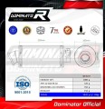 wydech tłumik DOMINATOR GP1 pasujący do motocykla Suzuki SV 650 N 1999 - 2002 2