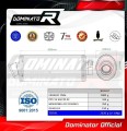 SV 650 S EXHAUST Suzuki Muffler Auspuff Sportauspuff Silencer Echappement Silencieux Scarico Scarichi Escape Wydech Tłumik OVAL 1999 - 2002 Dominator 3
