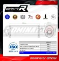 YZF 600 R THUNDERCAT EXHAUST Yamaha Muffler Auspuff Sportauspuff Silencer Echappement Silencieux Scarico Scarichi Escape Wydech Tłumik OVAL 1996 - 2006 DOMINATOR 4