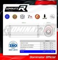 Pegaso 650 Strada Exhaust Aprilia Muffler Auspuff Sportauspuff Silencer Echappement Silencieux Scarico Scarichi Escape OVAL 2007 - 2010 Dominator 3