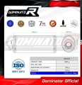 ZRX 1200 R EXHAUST Kawasaki Muffler Auspuff Sportauspuff Silencer Echappement Silencieux Scarico Scarichi Escape Wydech Tłumik OVAL 2001 - 2007 Dominator 1