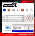 Dominar 400 Exhaust BAJAJ Muffler Auspuff Sportauspuff Silencer Echappement Silencieux Scarico Scarichi Escape Carbon Tip HP1 2016-2018 Dominator 3