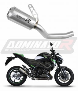 Kawasaki Z800 2013 - 2016 Exhaust Silencer Muffler GPS + dB killer medium