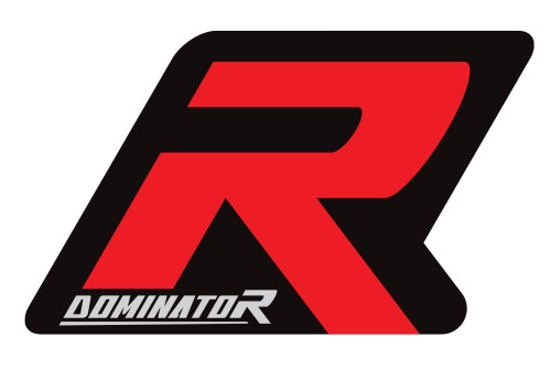 wydech tłumik DOMINATOR OVR pasujący do motocykla Kawasaki Z1000 2003 - 2006