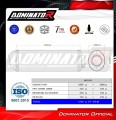 Tuono 1000 R Exhaust Aprilia Muffler Auspuff Sportauspuff Silencer Echappement Silencieux Scarico Scarichi Escape OVR BL 2006 - 2010 Dominator  1