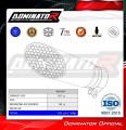 exhaust muffler DOMINATOR titanium GP3 fits to BMW M1000R 2022  2026 6