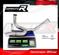 MULTISTRADA 1200 Exhaust Cat Eliminator Catalyst Catalytic Converter Linkpipe Decat Downpipe 2010 - 2014 DOMINATOR 5
