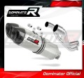 Pegaso 650 Trail Exhaust Aprilia Muffler Auspuff Sportauspuff Silencer Echappement Silencieux Scarico Scarichi Escape Carbon Tip HP1 2006 - 2010 Dominator 