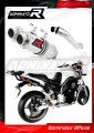 BT 1100 BULLDOG EXHAUST Yamaha Muffler Auspuff Sportauspuff Silencer Echappement Silencieux Scarico Scarichi Escape Wydech Tłumik GP 1 2001 - 2007 DOMINATOR 