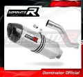 DR 750 S / BIG EXHAUST Suzuki Muffler Auspuff Sportauspuff Silencer Echappement Silencieux Scarico Scarichi Escape Wydech Tłumik Carbon Tip right side HP1 Dominator 